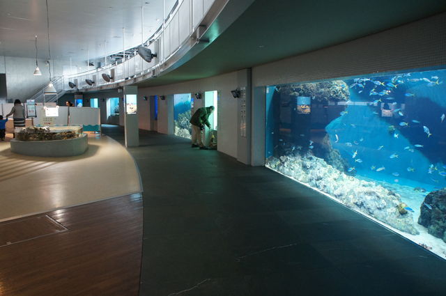 葛西水族館